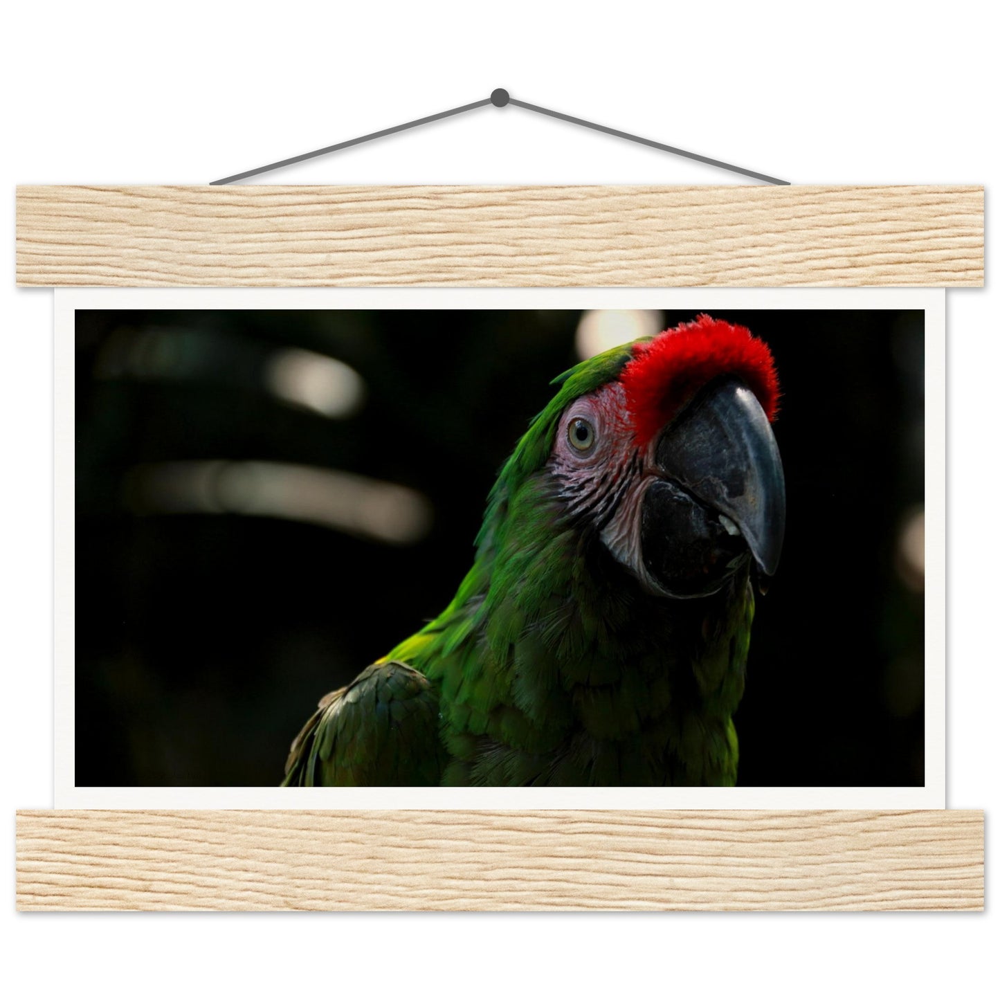 086ea0e3-7e7b-4cce-afc3-4b31ca5484a2