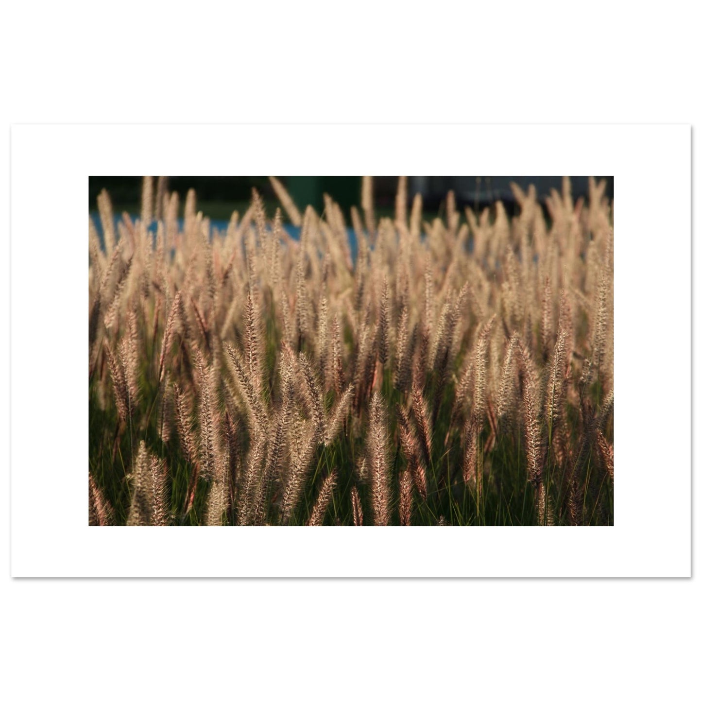 09f774bf-085e-4e60-b808-83c2e2d3c24a