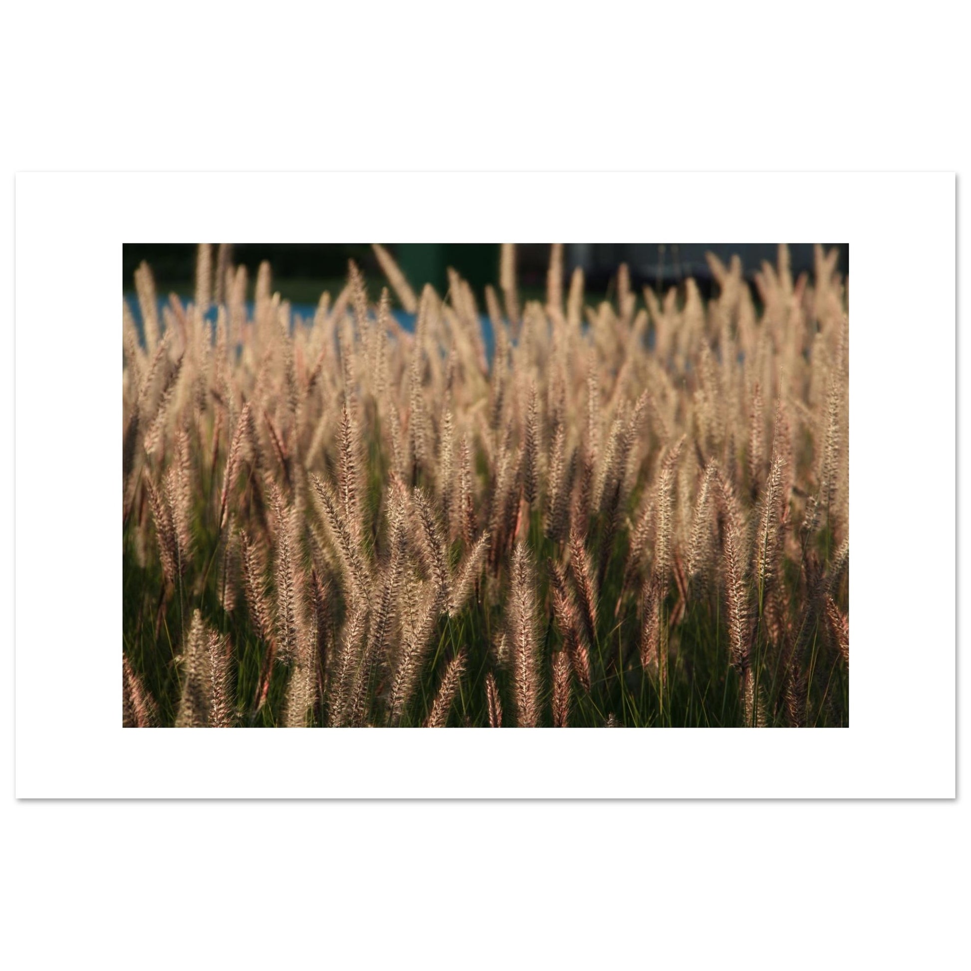 09f774bf-085e-4e60-b808-83c2e2d3c24a