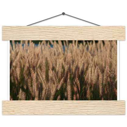 0cad1186-d666-43c2-be8c-fefc9fe7e3d4