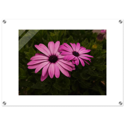 0fde6a96-b0a1-4526-8124-eee825eb337f