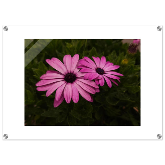 0fde6a96-b0a1-4526-8124-eee825eb337f