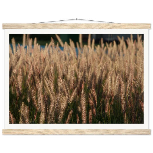 11b0364f-3d16-4b66-9adf-a7dbe680f4fc