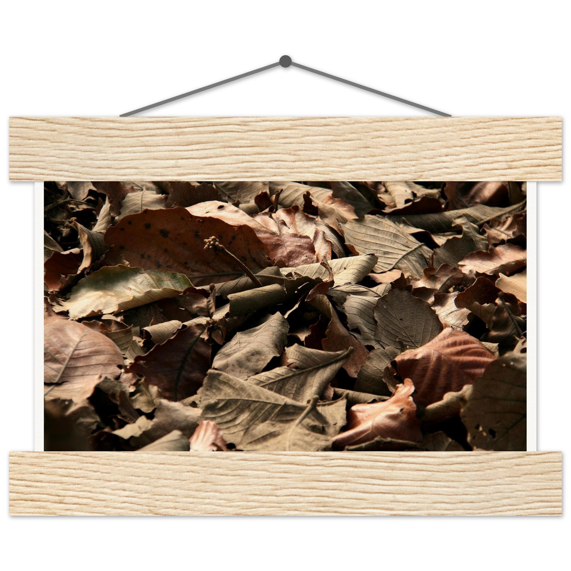 18f1ae6f-d9aa-4baf-a6ce-801ef7d24d11