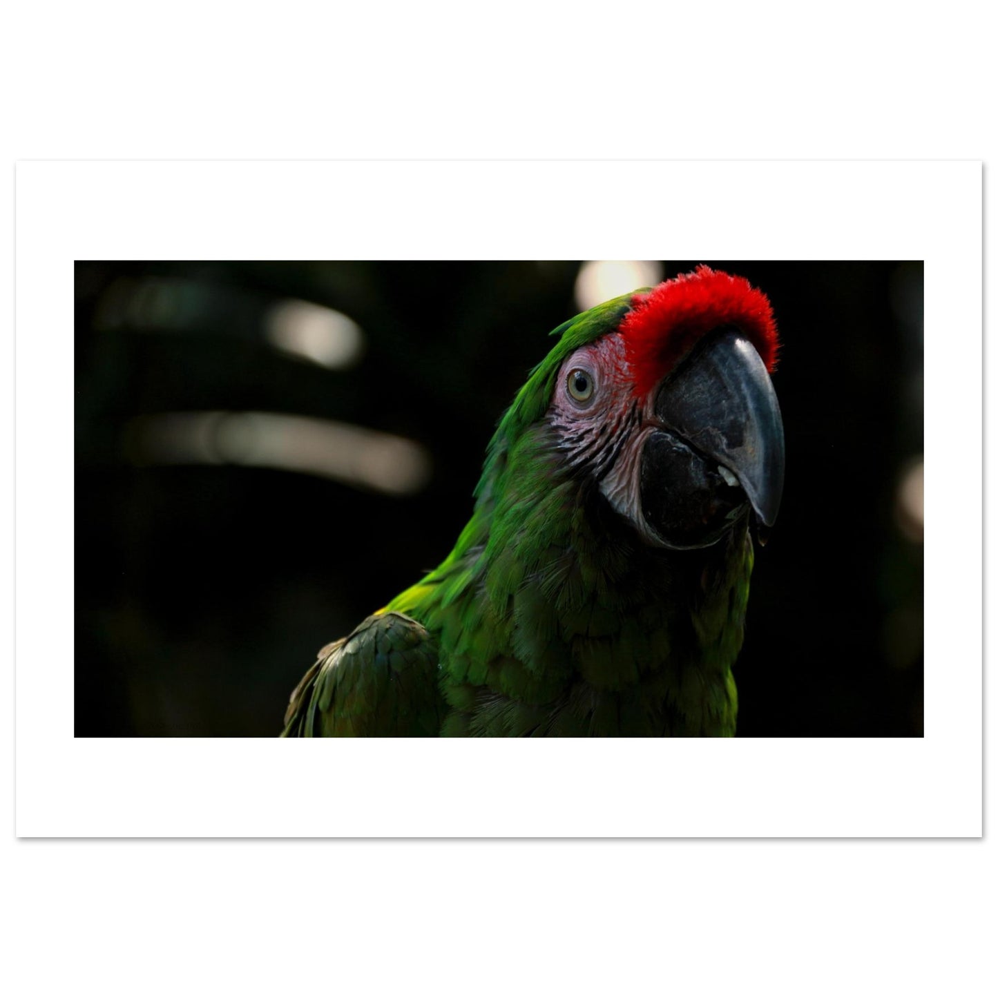 190e12db-df89-43aa-b4ca-c0135c099934