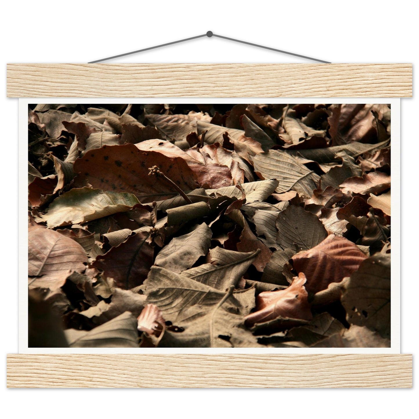 192a4181-2b43-4124-a0d3-344770c6dda8