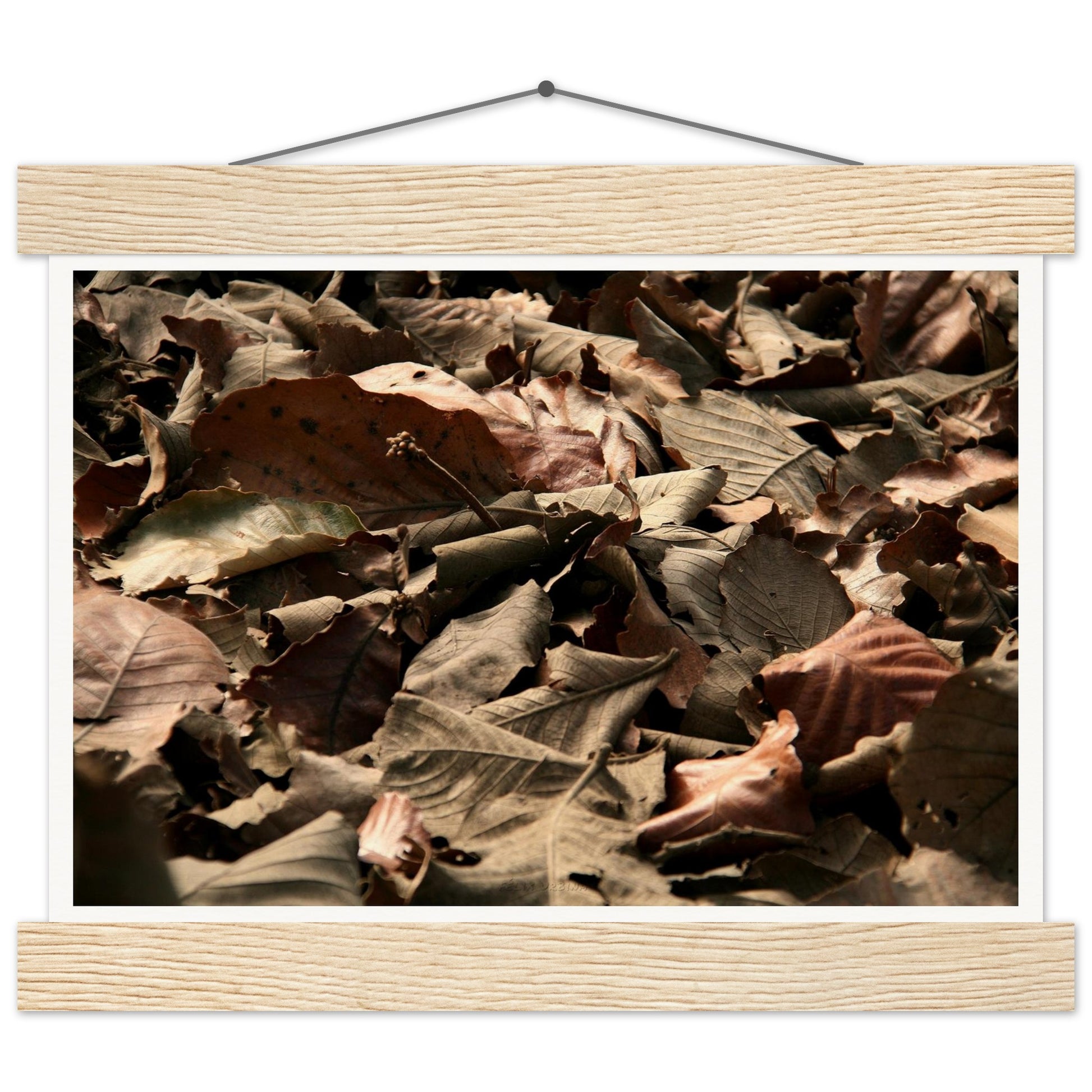 192a4181-2b43-4124-a0d3-344770c6dda8