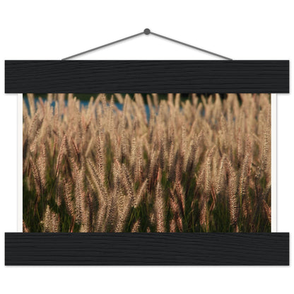 1a433f5f-7860-49ef-bfde-7fa07cac4340