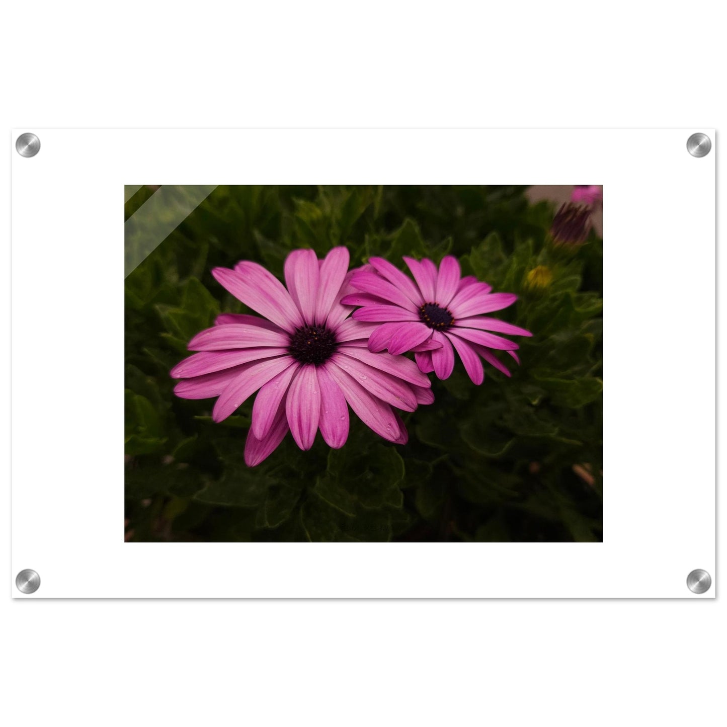 1f619b1a-ba25-4103-8892-5d776ca92b30