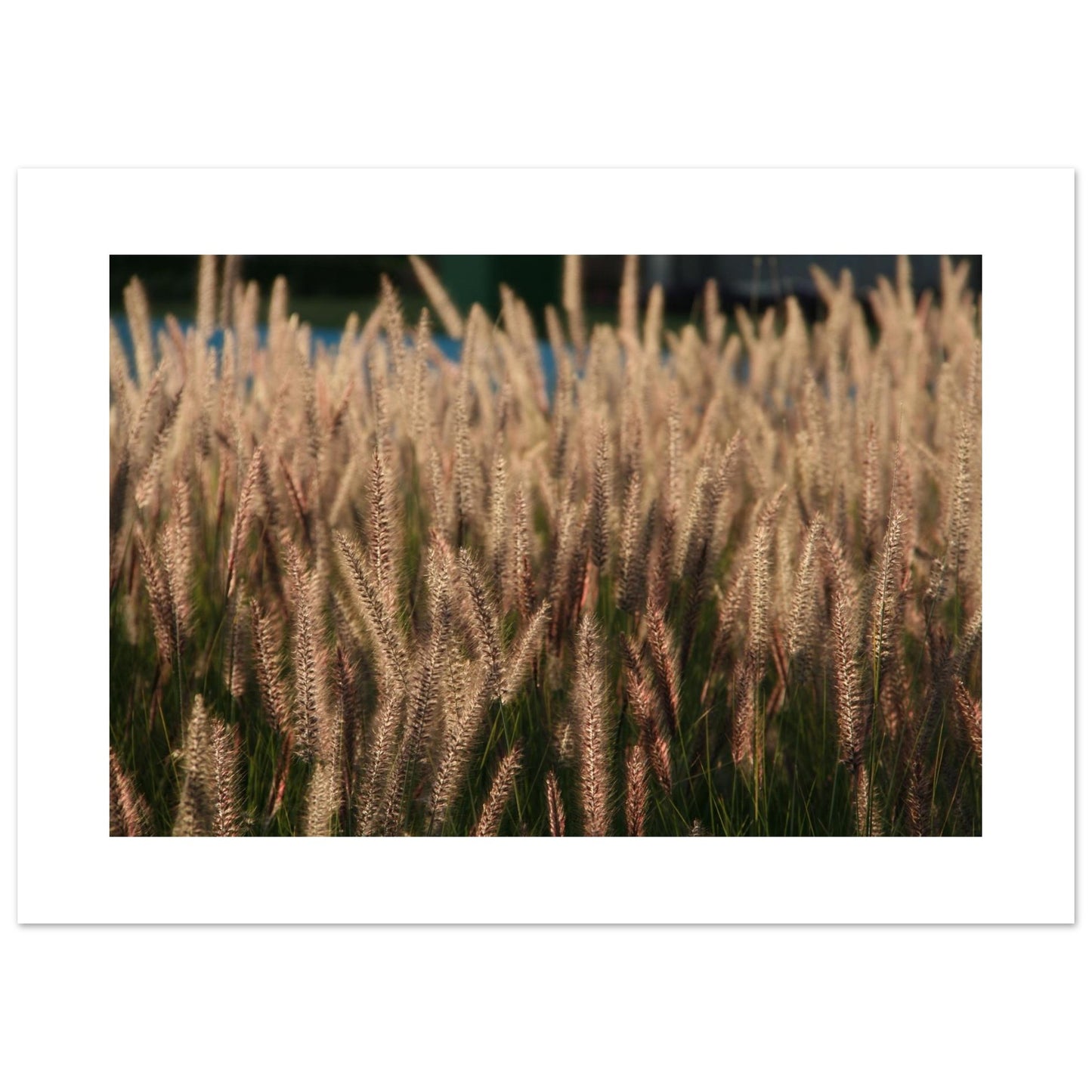 216287cf-eb33-457b-b331-80336eed51af