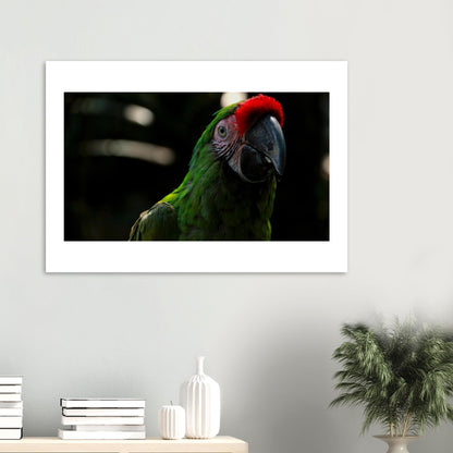 29ade48b-2b21-4584-853f-305fee9d7595