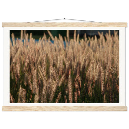 2a24e28b-880c-4369-bf11-d5bb23a0f095