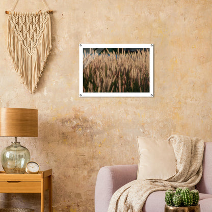 43b0ad1d-c659-4084-9eee-b5c8c0d6abb3