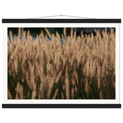 4488b36b-3de2-41f3-a02b-65df0ab7b0c1