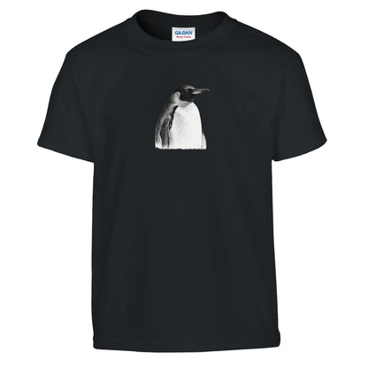 4653c42b-7bc0-4efc-b419-dbbb39567916