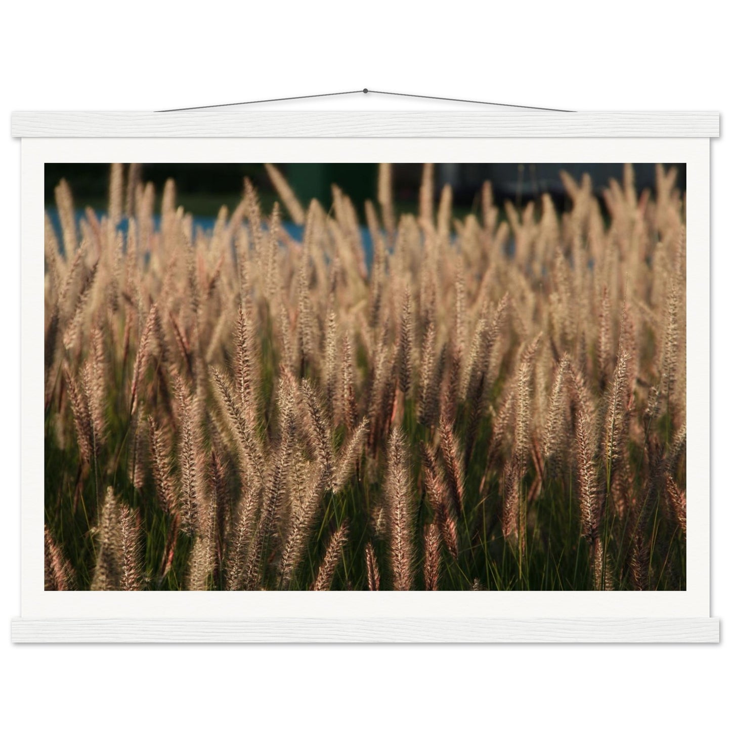 494f6fa4-a70c-42d9-90a4-e2b57c79508a