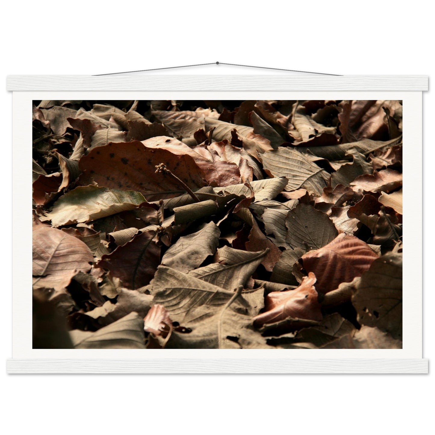 4cafcaa4-40a8-4a6e-8f60-1f1c96970bc0