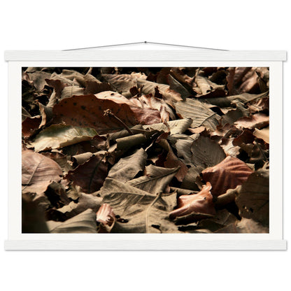 4cafcaa4-40a8-4a6e-8f60-1f1c96970bc0