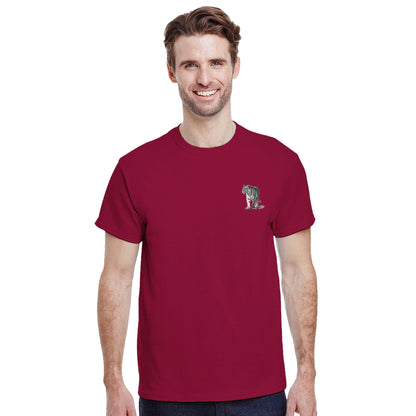 4d80e486-2dce-4d21-9afa-9dac49b220c5