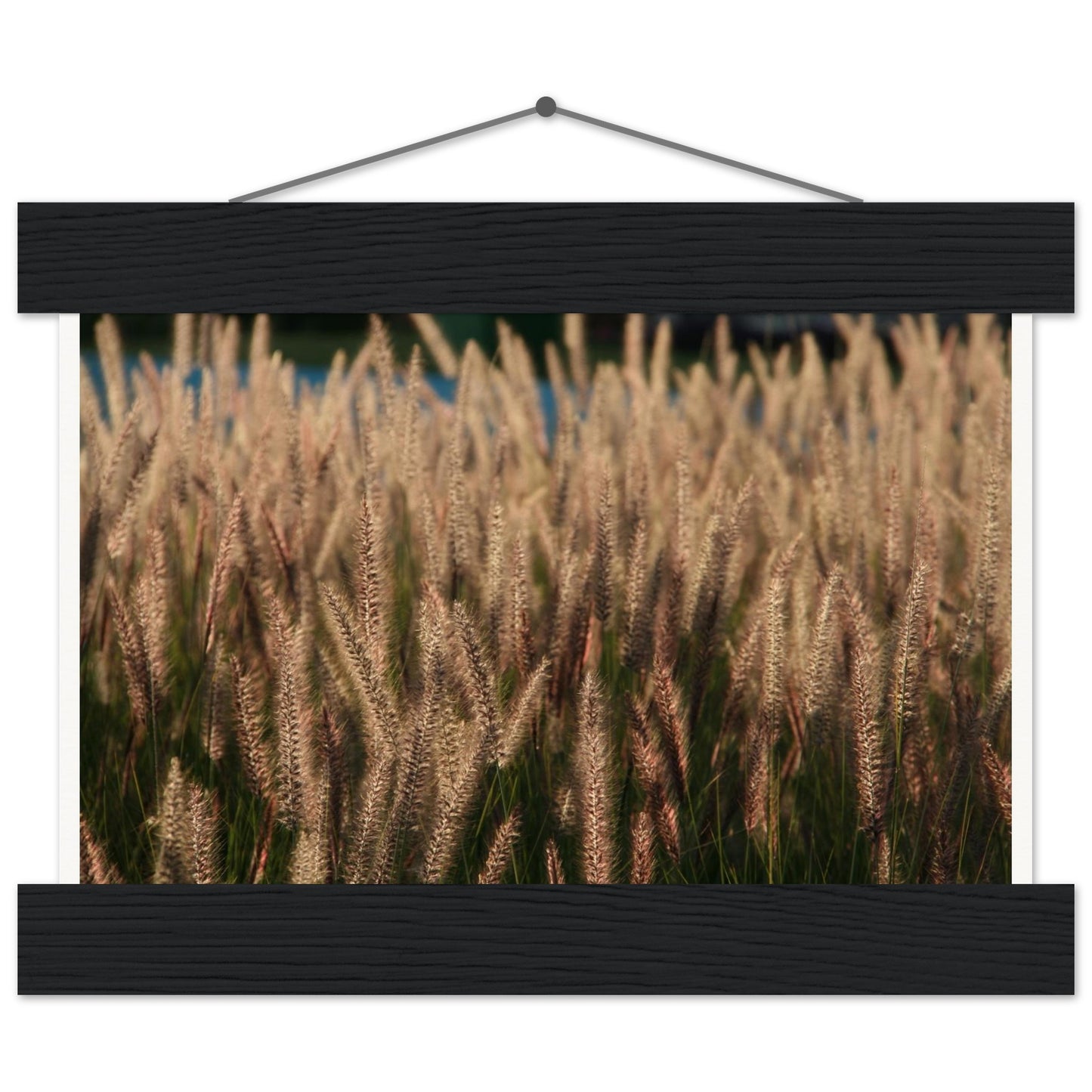 5585afd3-48e0-4fd2-b77d-e14e577adcc3