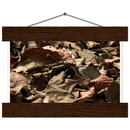 56ff429c-22be-45af-9bc6-918280c77211