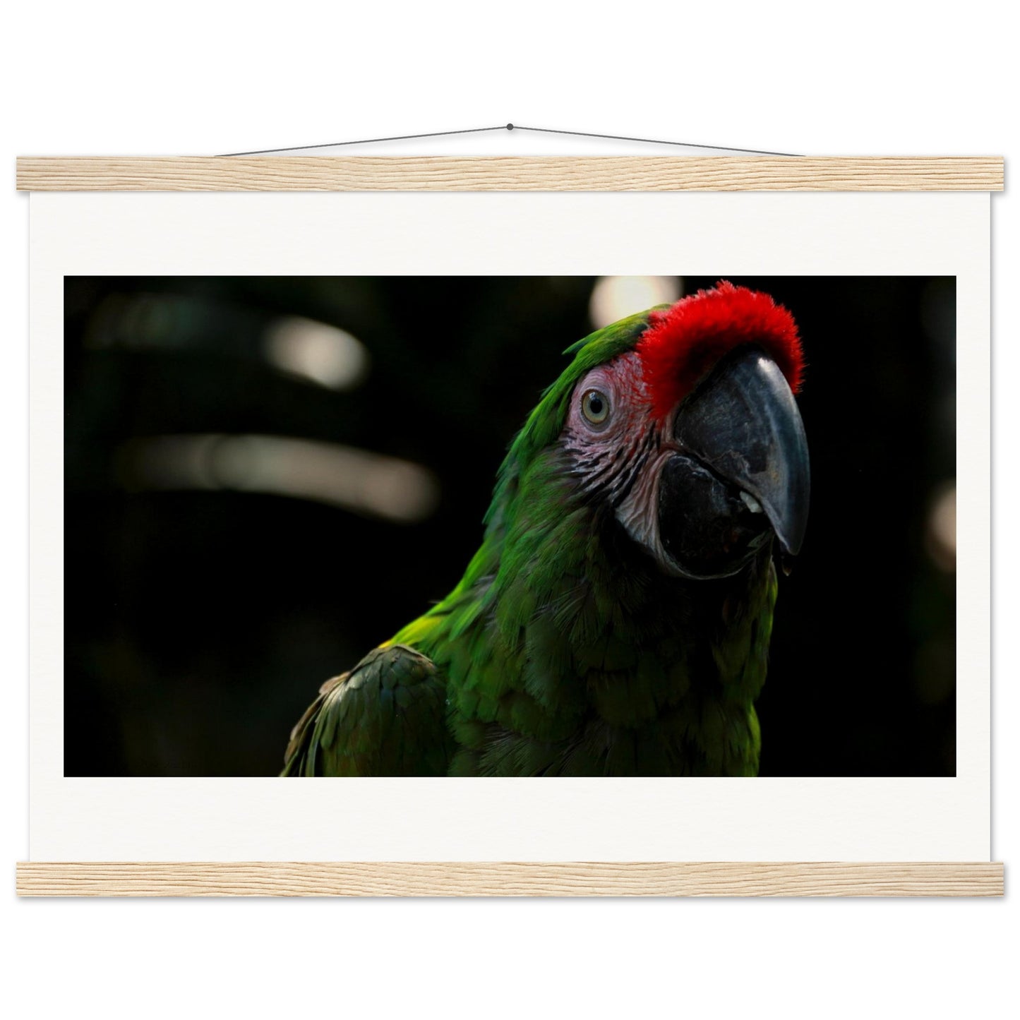 5e81c6f9-645e-43e9-8e38-6133bb3f0c50