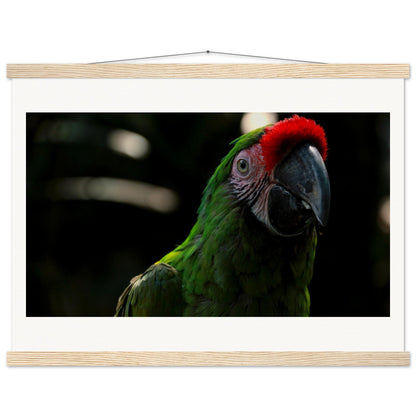 5e81c6f9-645e-43e9-8e38-6133bb3f0c50