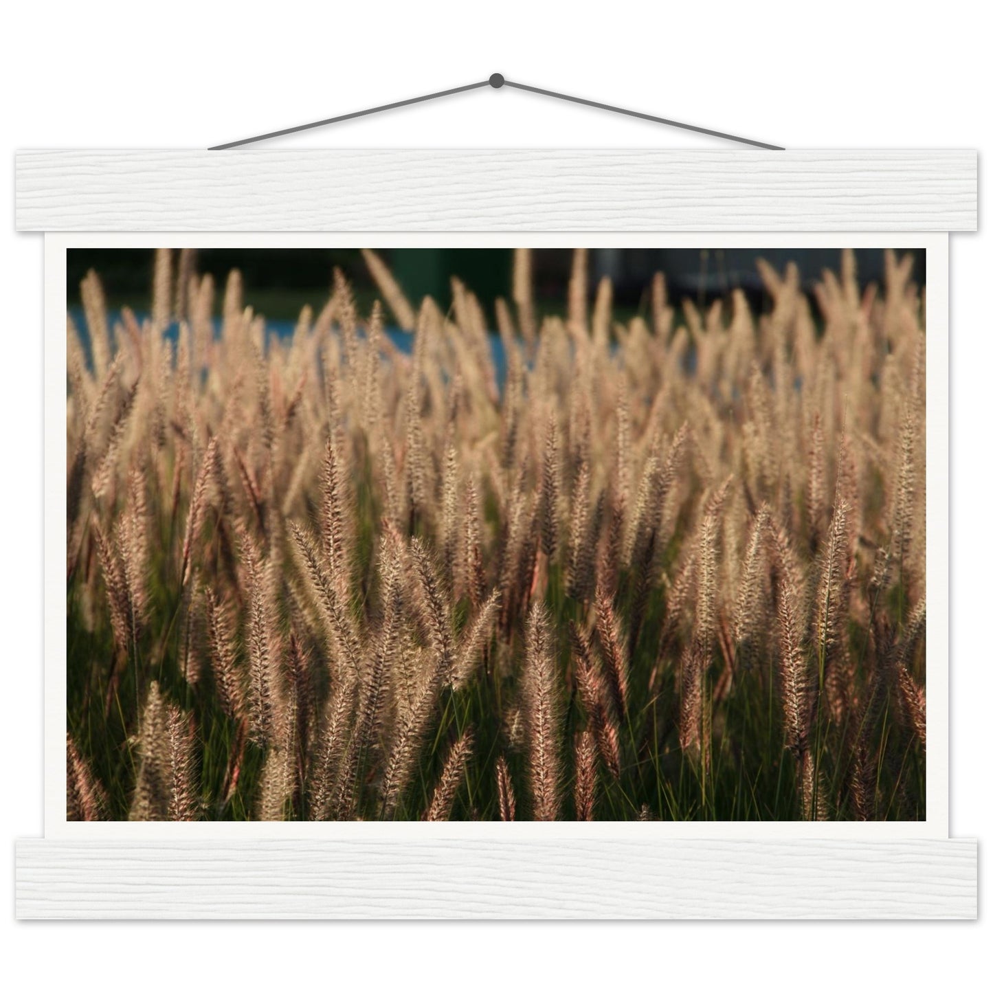 62e7b902-871d-4cf9-80fb-8d8337156d84