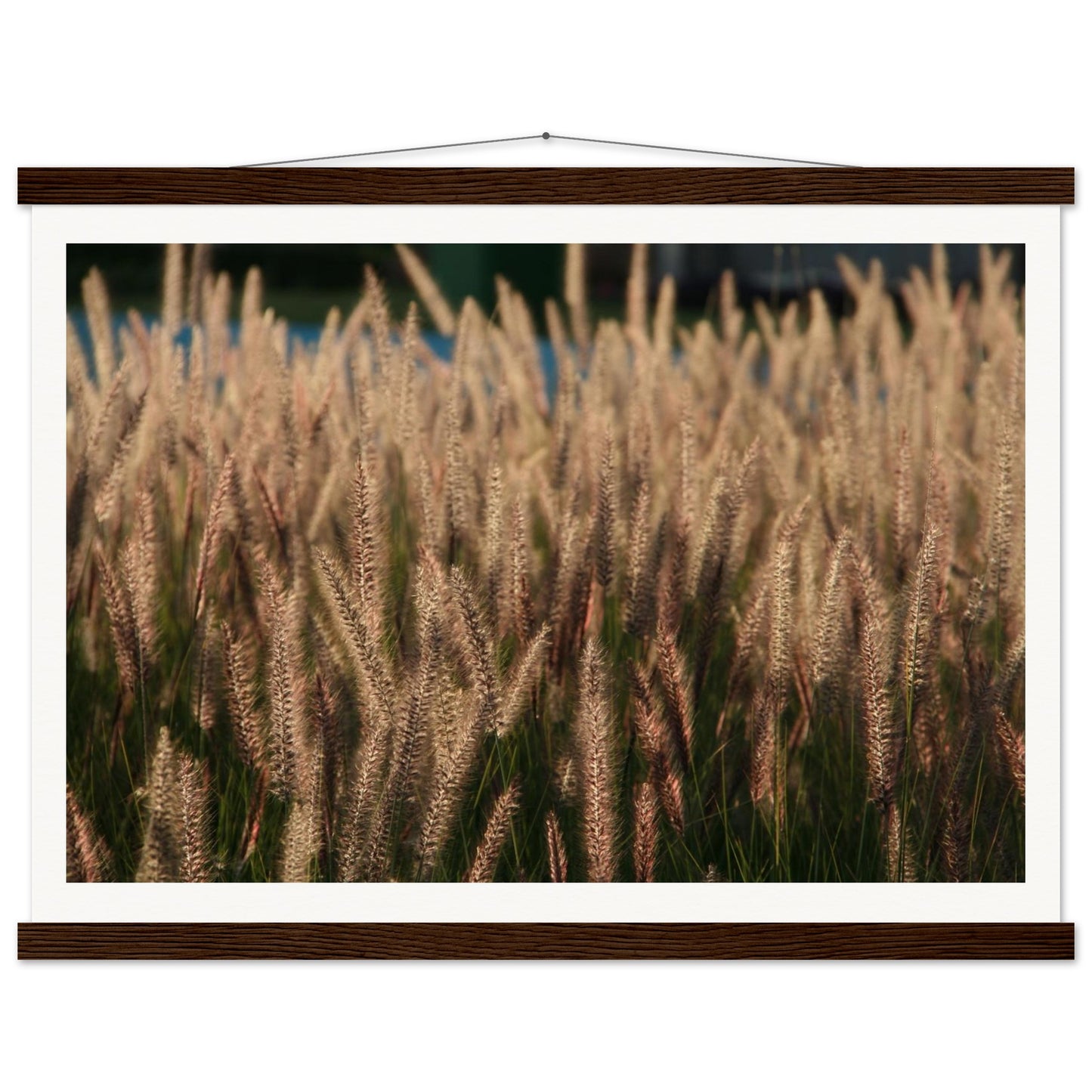 63d8ce30-1f12-47c1-a6f5-be6dcd123792