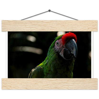 6a75081b-c549-4a52-9784-5ed09f6e1f94