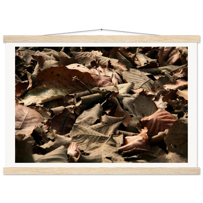 6e70ad34-59f0-4da7-a498-6da380eabd2b