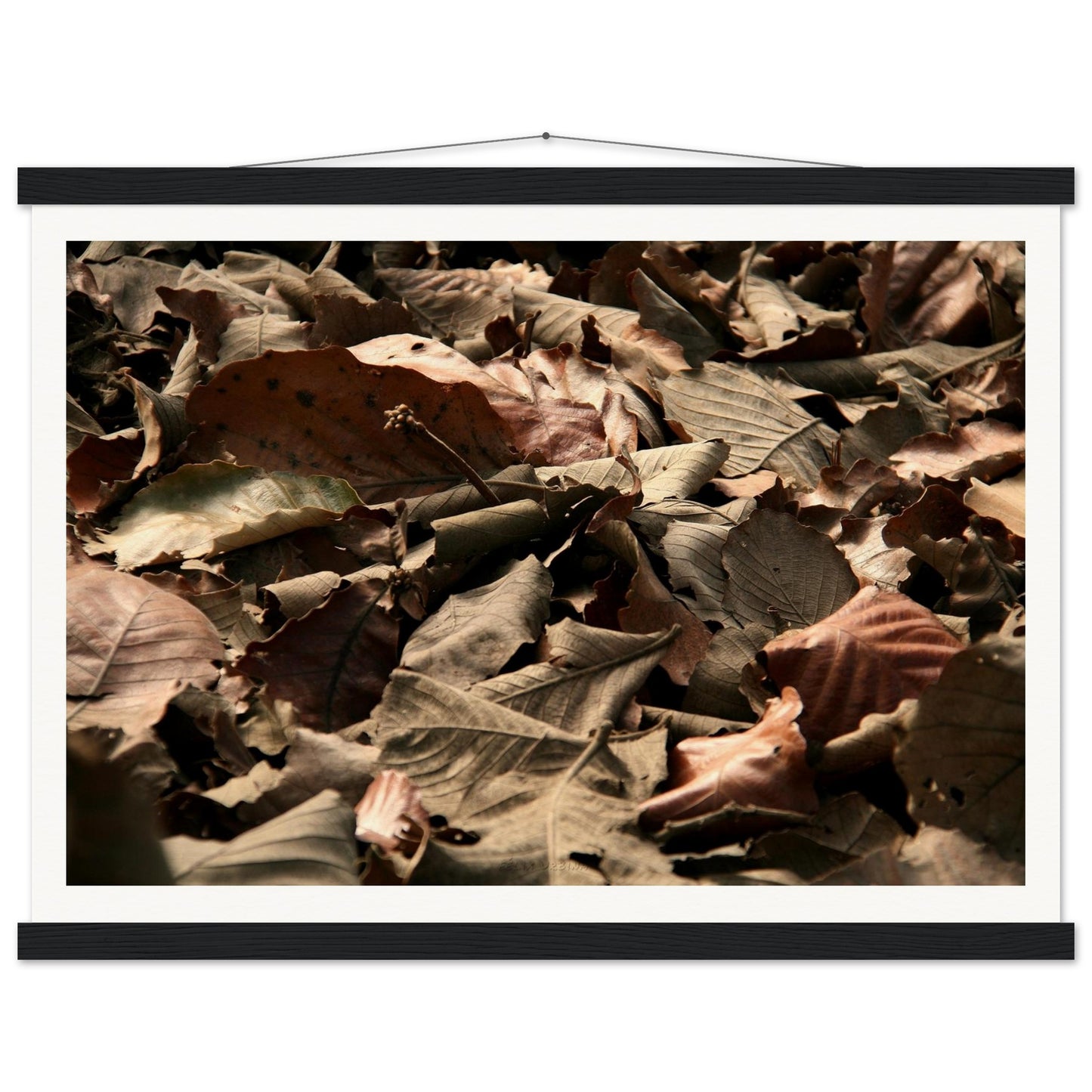 766f5d7c-2d4b-41b9-aac6-81c76d05d7d0