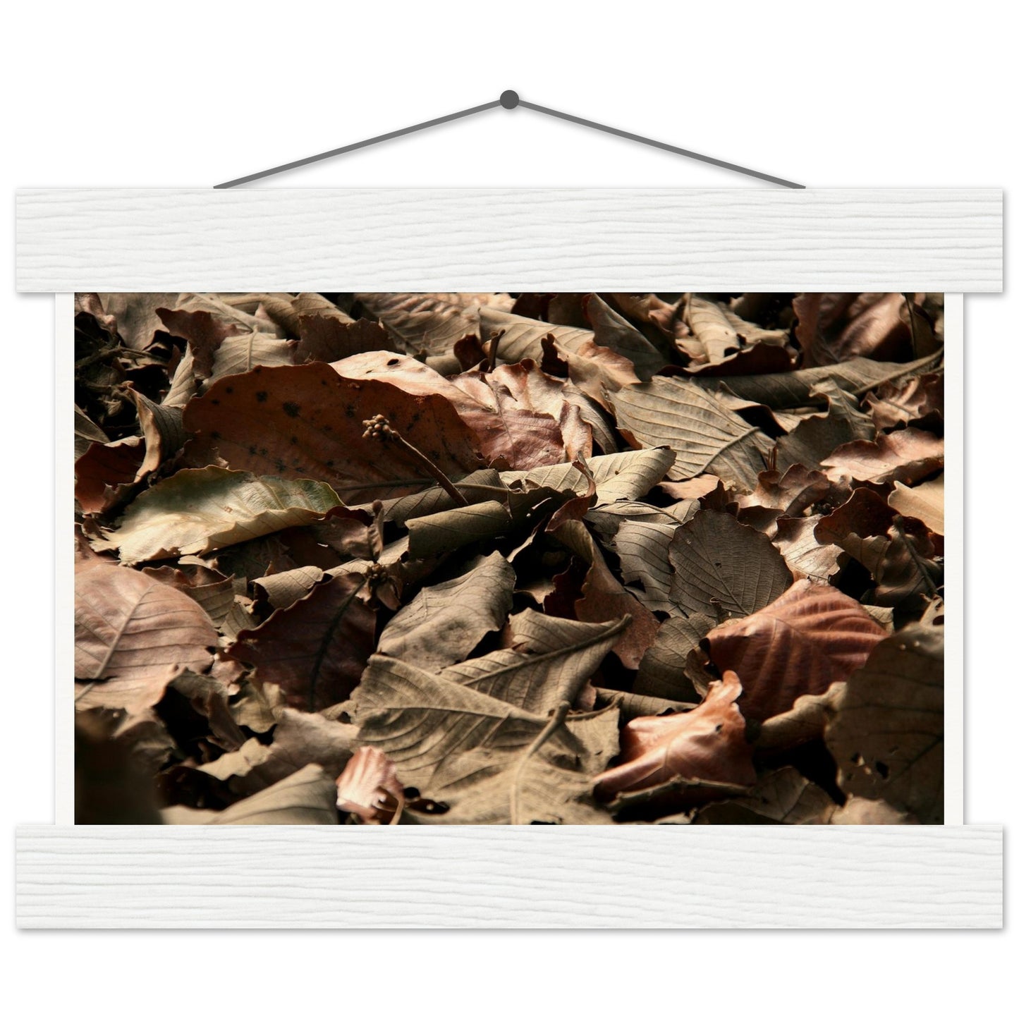 7c87ba86-7831-4808-b9dd-fc0fec17f583