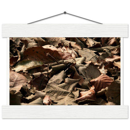 7c87ba86-7831-4808-b9dd-fc0fec17f583