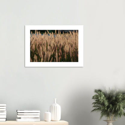 85f237fd-149a-4a9b-a8aa-1090a63ae515