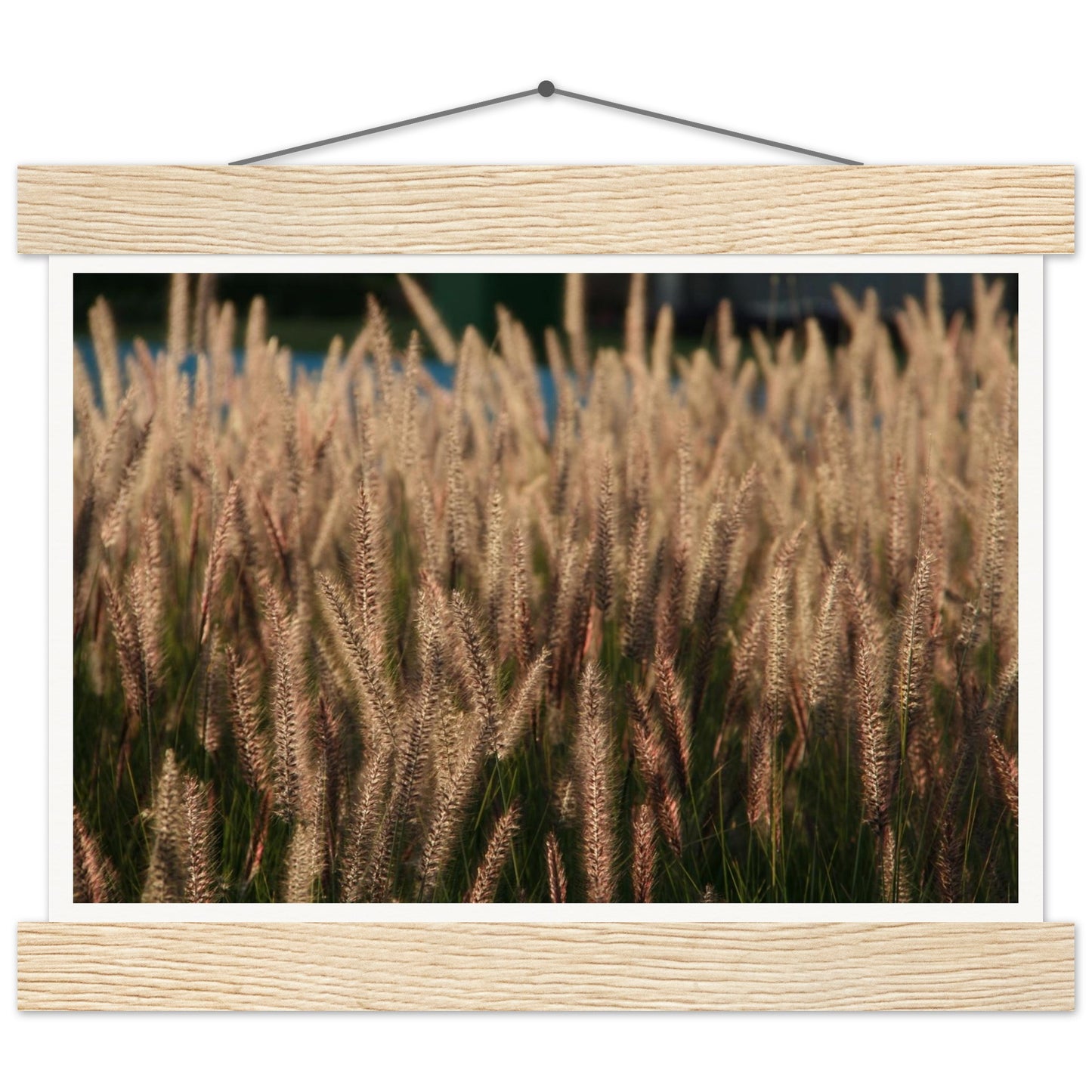 87a0f4e2-3a9d-448c-9889-4317cbac296a