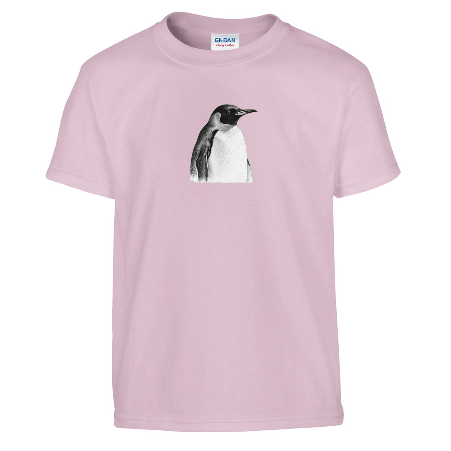 898c7a24-11c2-49e0-862d-db4c52765597