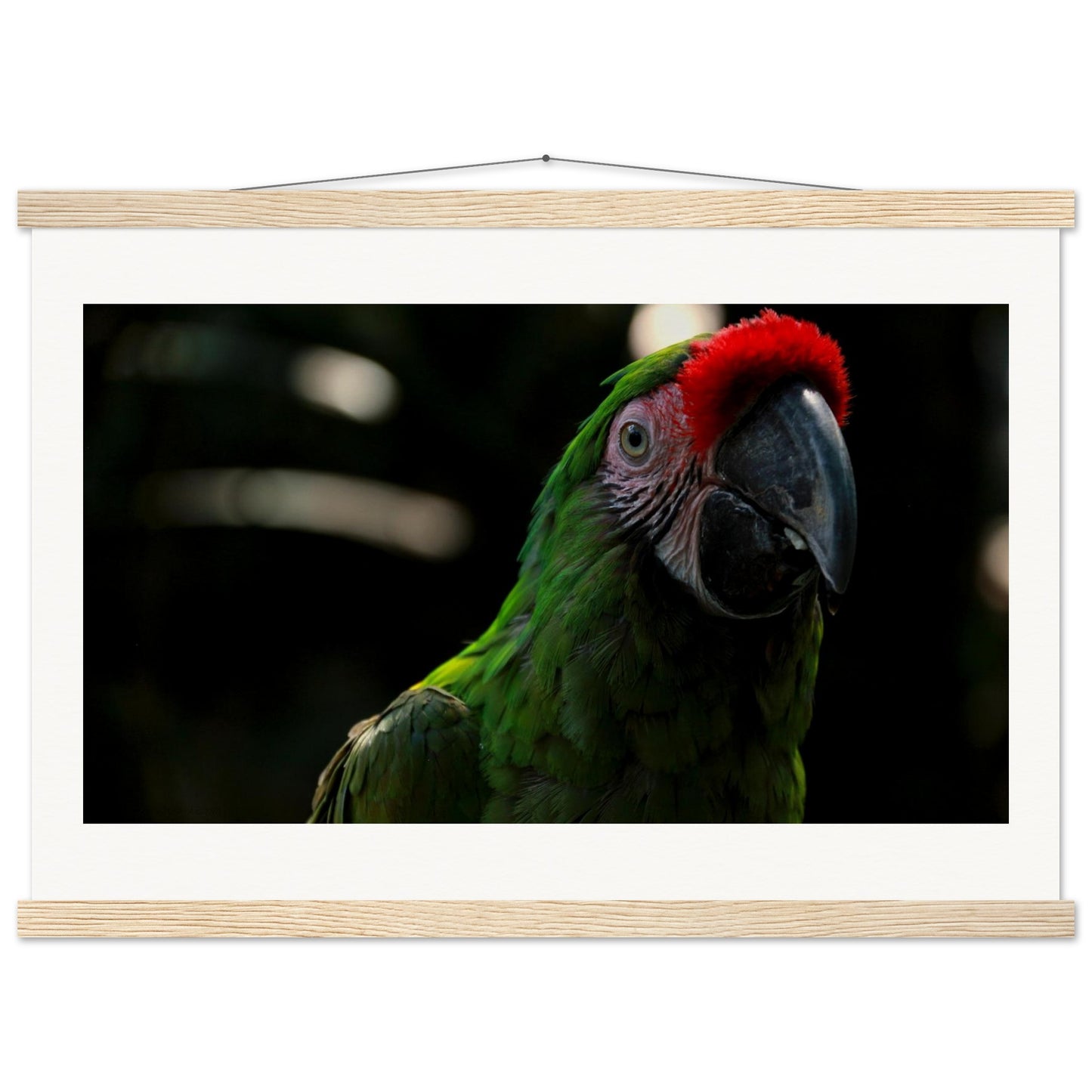 946ee1ea-1add-4f2c-9399-8fa0a3eb609d