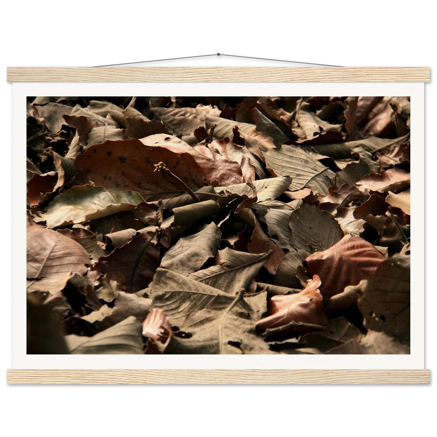 986e66d3-7db6-496d-854f-236fc3a8ecce