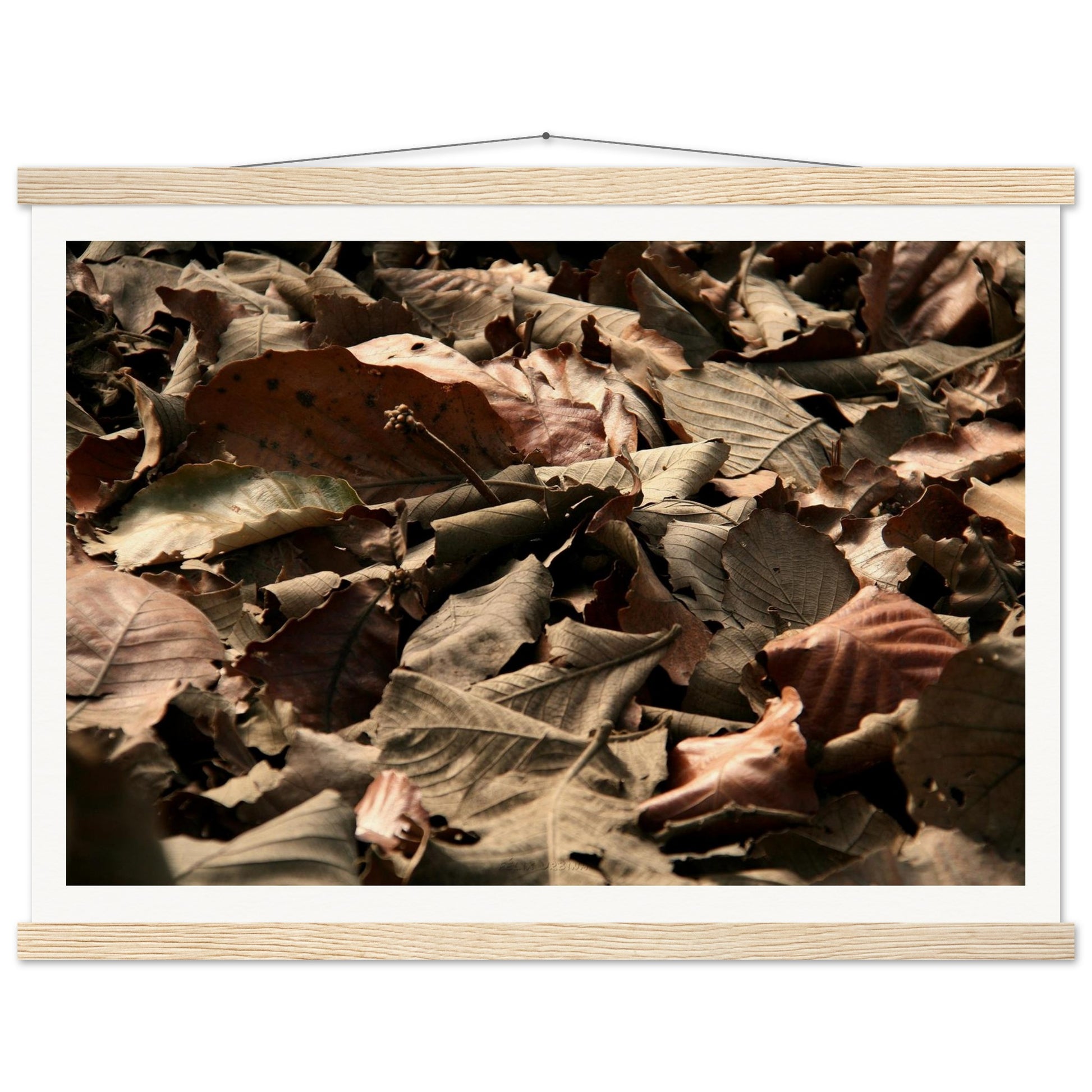 986e66d3-7db6-496d-854f-236fc3a8ecce