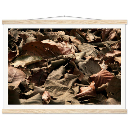 986e66d3-7db6-496d-854f-236fc3a8ecce