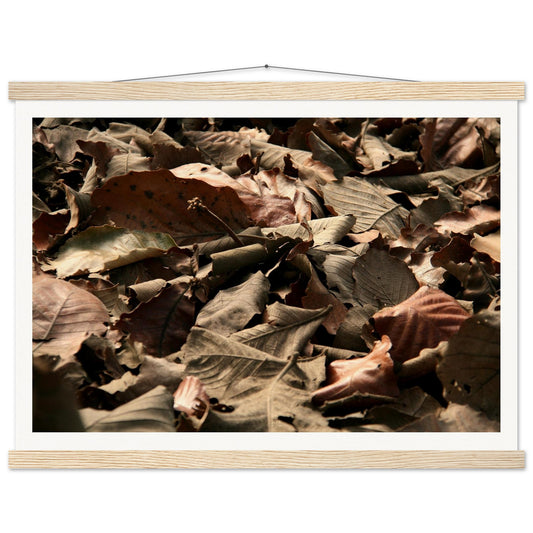 986e66d3-7db6-496d-854f-236fc3a8ecce