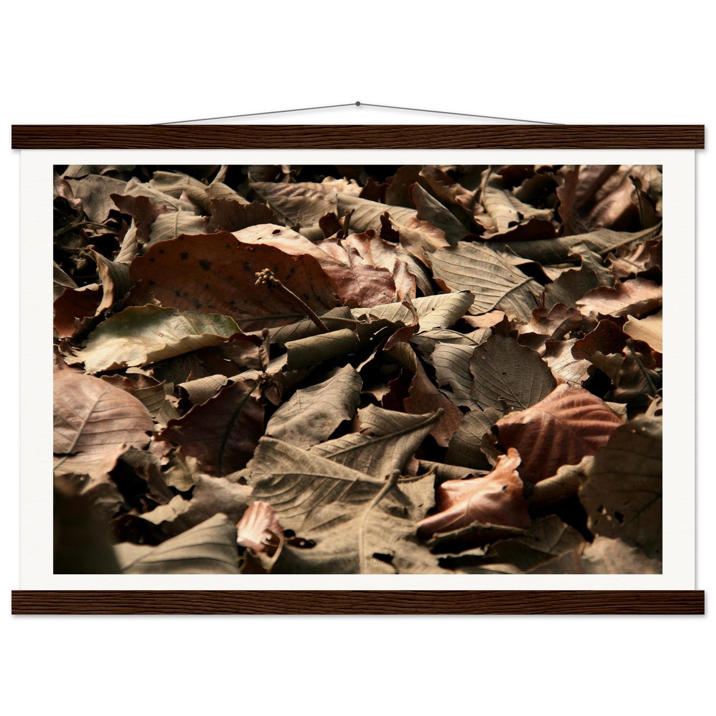 9e54593e-4532-4fbf-9049-30ff2a43c2fa