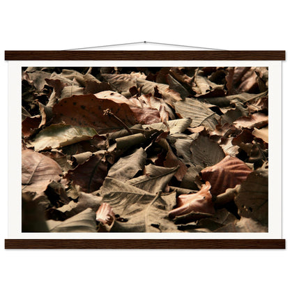 9e54593e-4532-4fbf-9049-30ff2a43c2fa