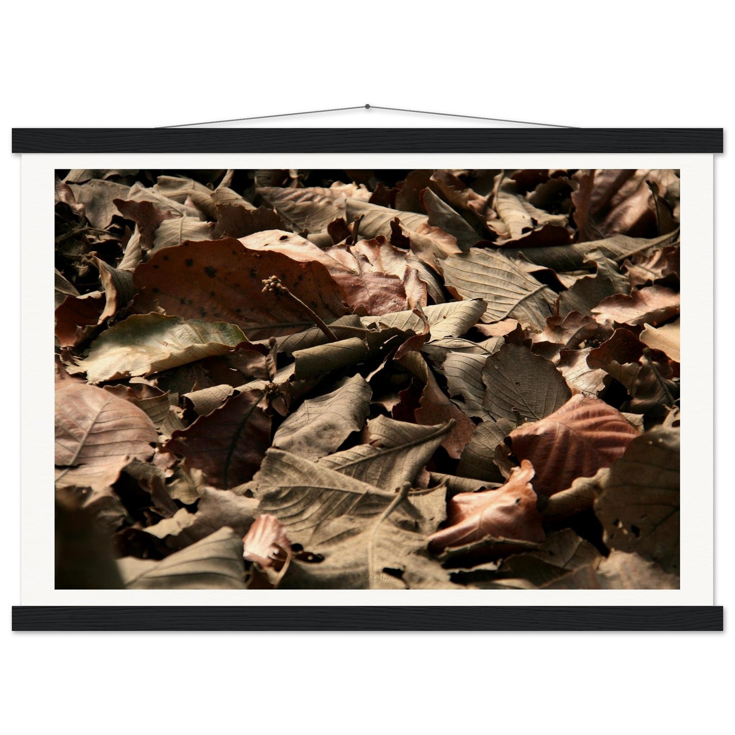 9fb130f3-1b3d-4ea9-8f68-de0f54c43e2a