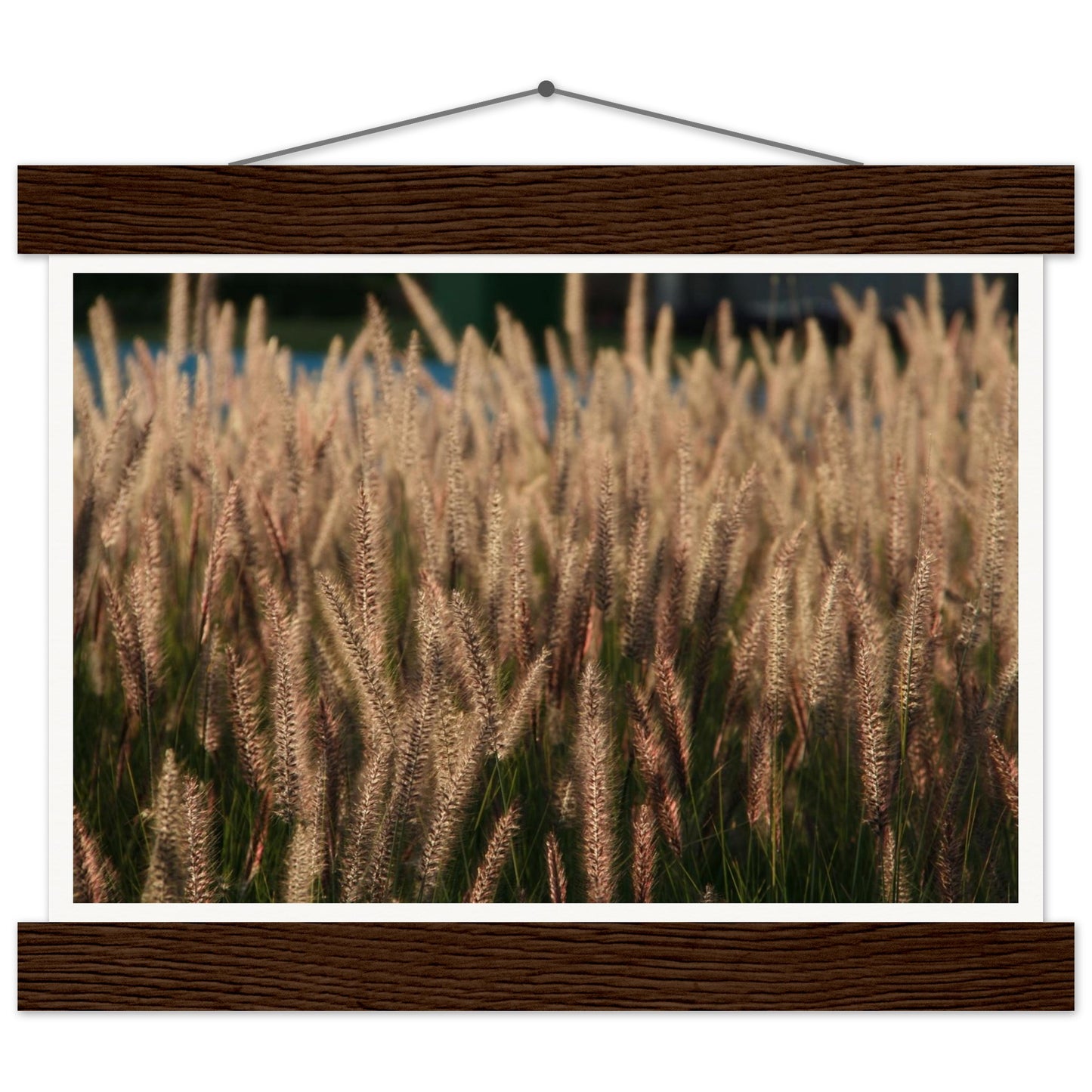 a226d43d-7b46-4d31-8662-483546c603df