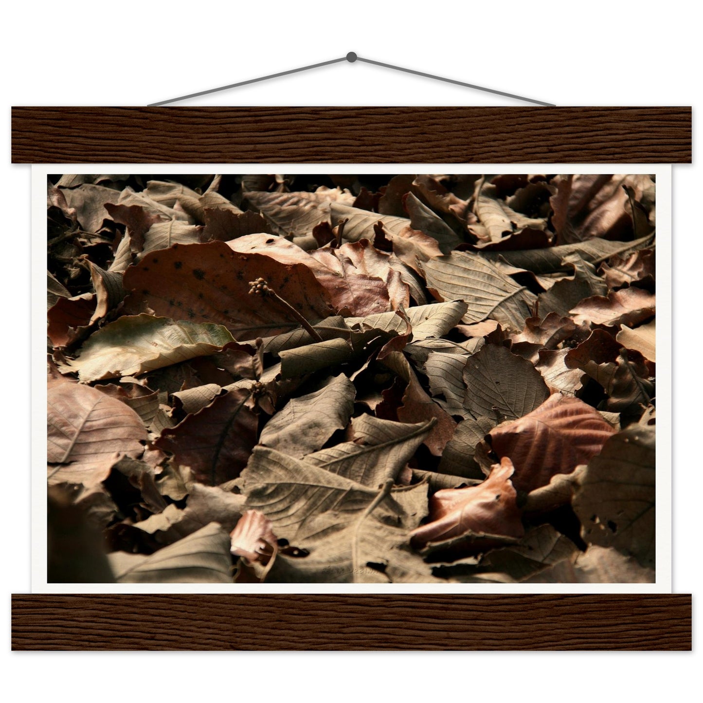 b1f32120-7260-4254-b8a9-2b4535b9b2e1