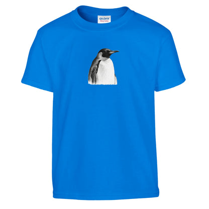 bbadd073-a67d-4342-8fd9-22722d298372