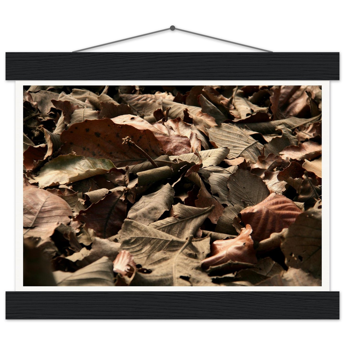 bd2acc3a-8375-4ed8-8212-51c0d750736a