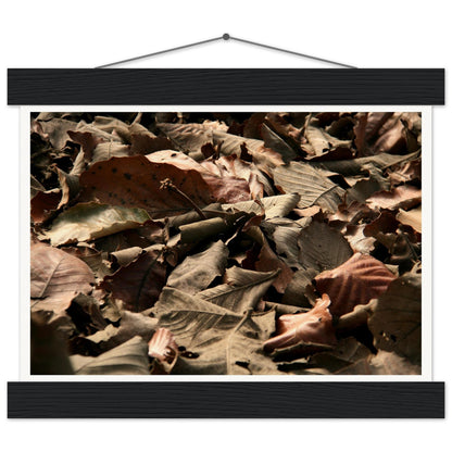 bd2acc3a-8375-4ed8-8212-51c0d750736a